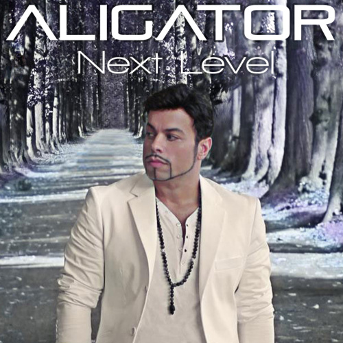 Aligator - 'Against All Odds'
