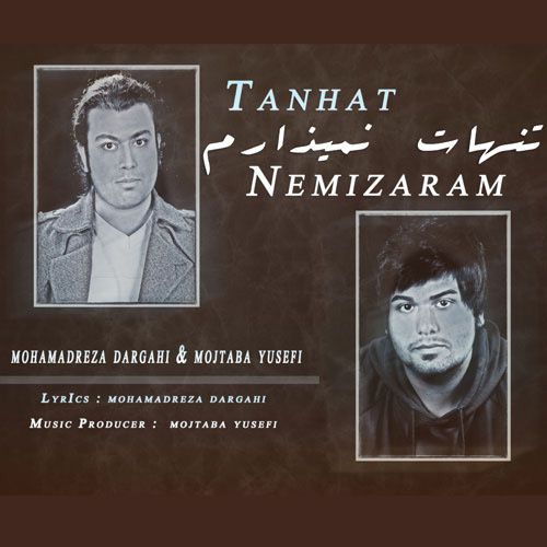 Mohamadreza Dargahi - Tanhat Nemizaram (Ft Mojtaba Yousefi)