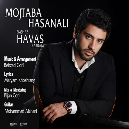 Mojtaba Hasanali - Havas