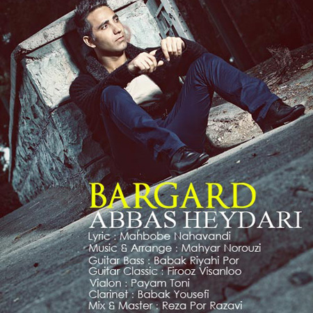 Abbas Heydari - Bargard