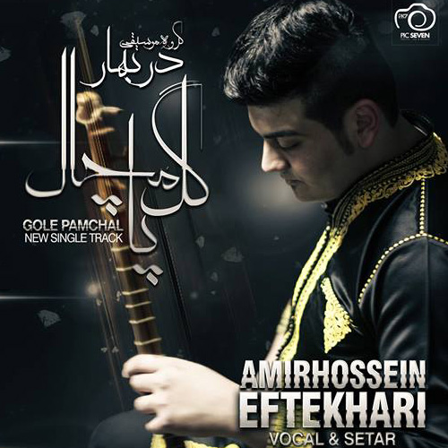Amirhossein Eftekhari - 'Gole Pamchal'