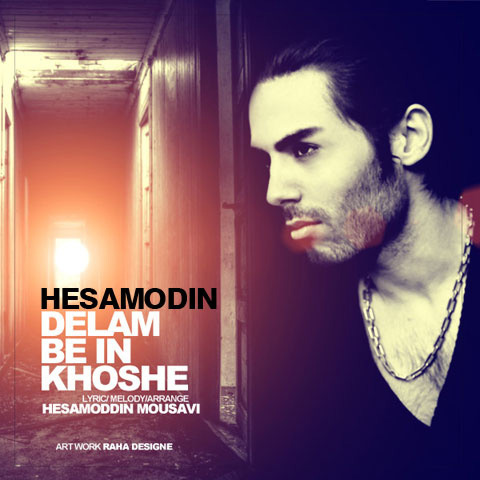 Hesamoddin Mousavi - 'Delam Be In Khoshe'