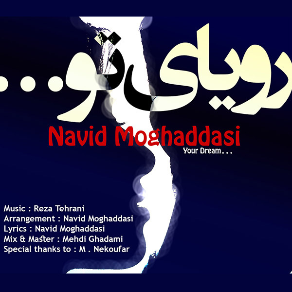 Navid Moghadasi - 'Royaye To'
