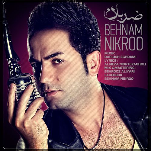 Behnam Nikroo - 'Zaraban'