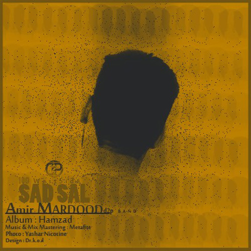 Amir Mardood - 'Sad Sal'