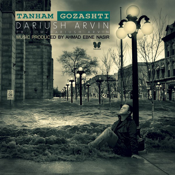 Dariush Arvin - 'Tanham Gozashti'