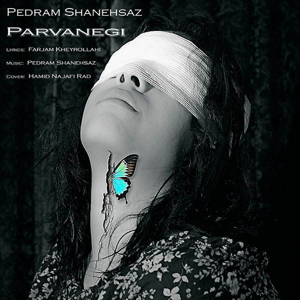 Pedram Shanehsaz - 'Parvanegi'