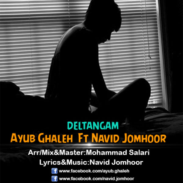 Navid Jomhoor - Deltangam (Ft Ayub Ghaleh)