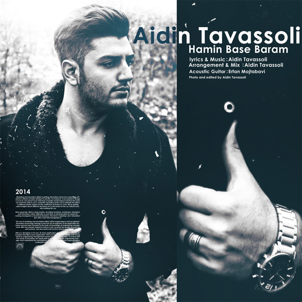Aidin Tavassoli - Hamin Base Baram