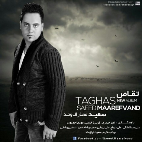 Saeed Maarefvand - 'Bargard'