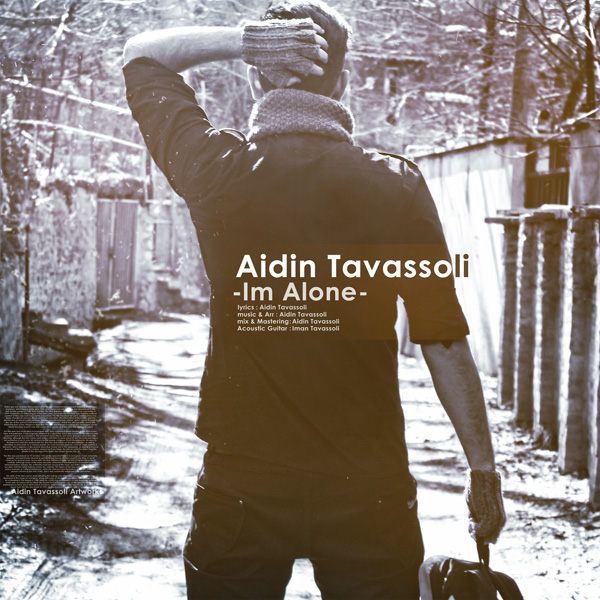 Aidin Tavassoli - Im Alone