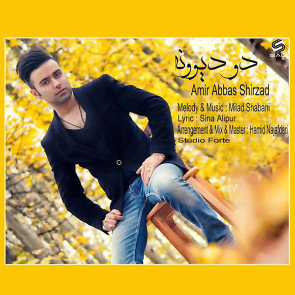 Amir Abbas Shirzad - Do Divooneh