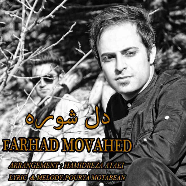 Farhad Movahed - 'Del Shooreh'