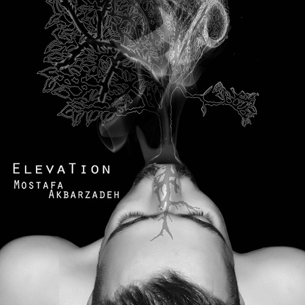 Mostafa Akbarzadeh - 'Elevation'