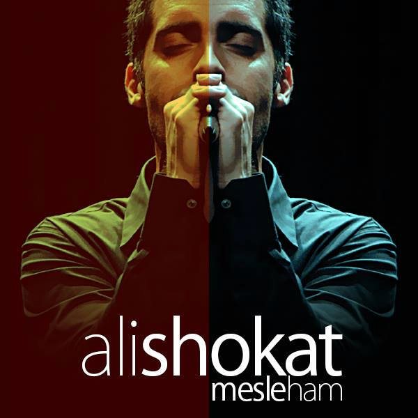Ali Shokat - 'Mesle Ham'