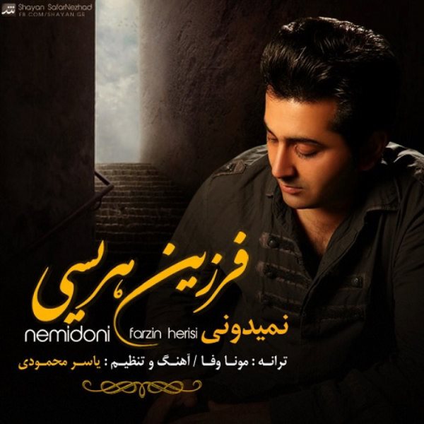 Farzin Herisi - 'Nemidoni'