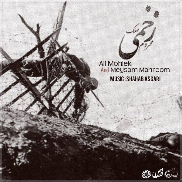 Meysam Mahroom & Ali Mohlek - 'Zakhmi'