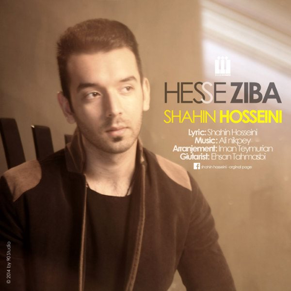 Shahin Hosseini - 'Hesse Ziba'
