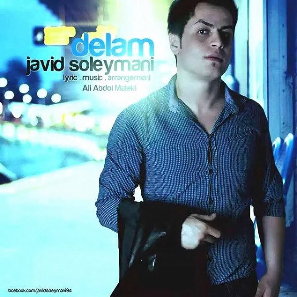 Javid Soleymani - Delam