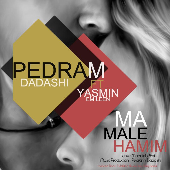 Pedram Dadashi - Ma Male Hamim (Ft. Yasmin Emileen)