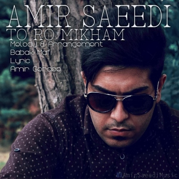 Amir Saeedi - 'Toro Mikham'