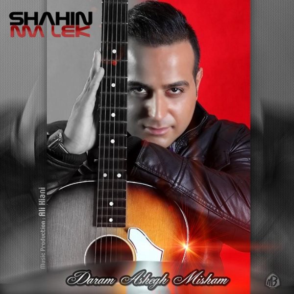 Shahin Malek - 'Daram Ashegh Misham'