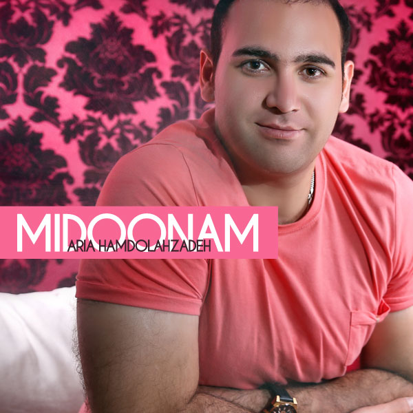 Aria Hamdolahzadeh - 'Midoonam'