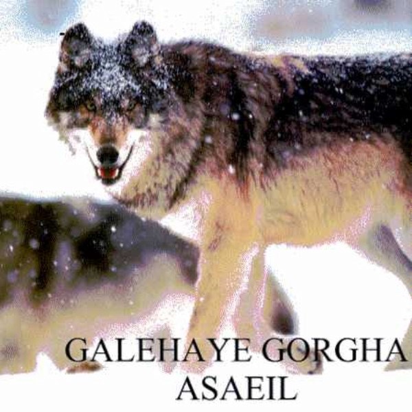 Asaeil - 'Galehaye Gorgha'