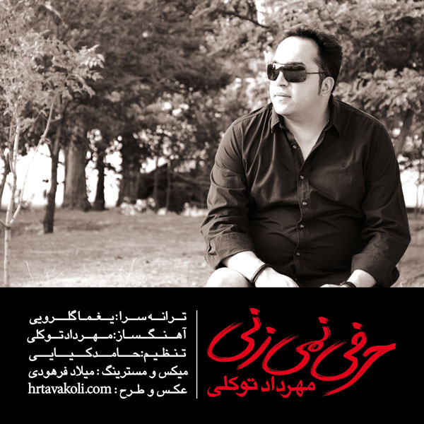 Mehrdad Tavakoli - 'Harfi  Nemizani'