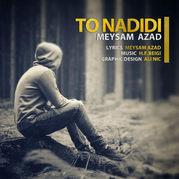 Meysam Azad - To Nadidi