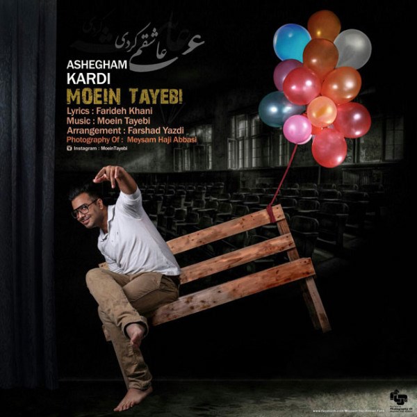Moein Tayebi - 'Ashegham Kardi'