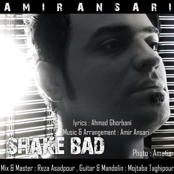 Amir Ansari - Shake Bad