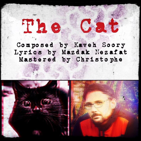 Kaveh Soory - 'The Cat'
