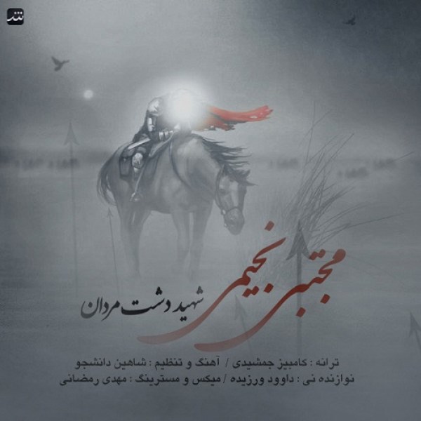Mojtaba Najimi - 'Shahide Dashte Mardan'