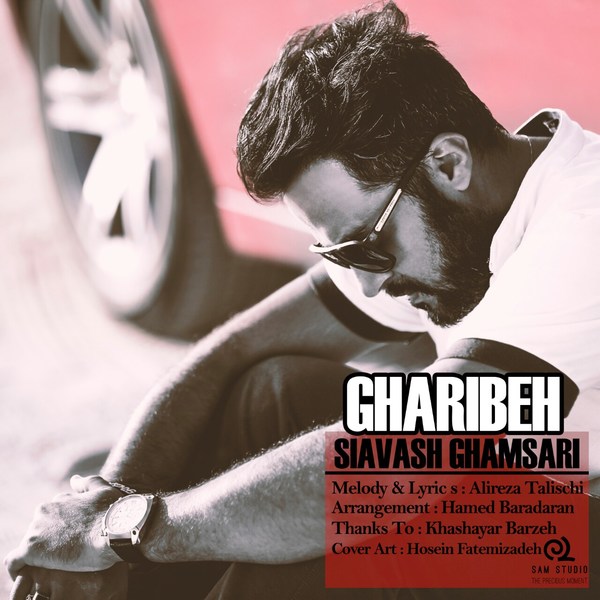 Siavash Ghamsari - 'Gharibeh'