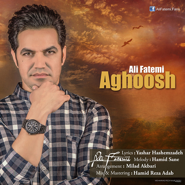 Ali Fatemi - 'Aghoosh'