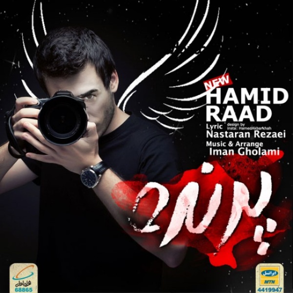 Hamid Raad - 'Parandeh'