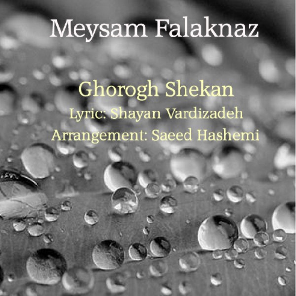 Meysam Falaknaz - Ghorogh Shekan