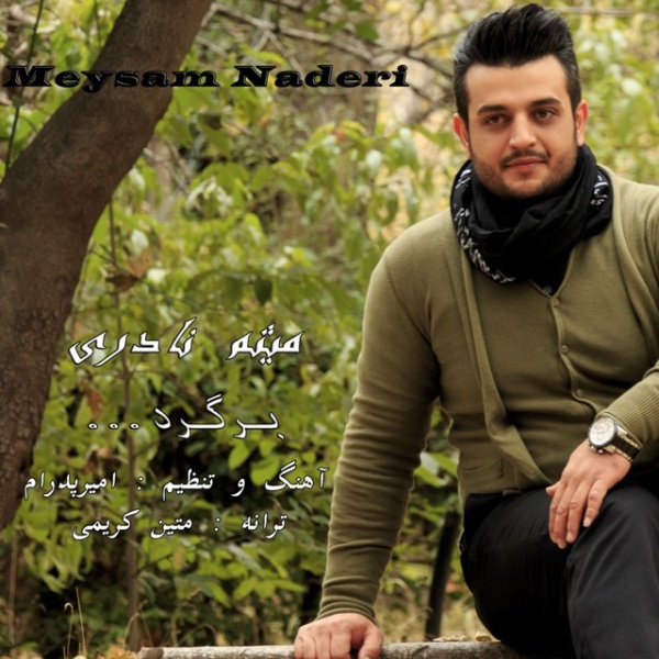 Meysam Naderi - 'Bargard'