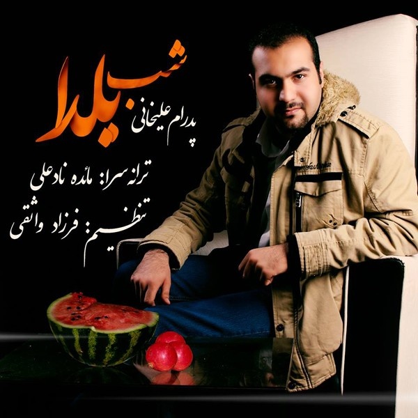 Pedram Alikhani - 'Shabe Yalda'