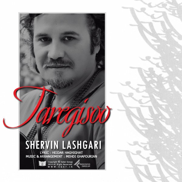 Shervin Lashgari - 'Tare Gisoo'