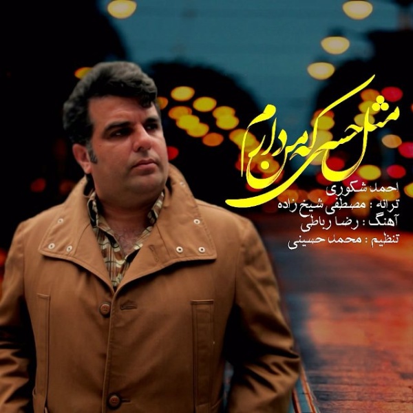 Ahmad Shakouri - 'Mesle Hesi Ke Man Daram'