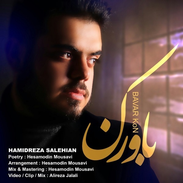 Hamidreza Salehian - 'Bavar Kon'