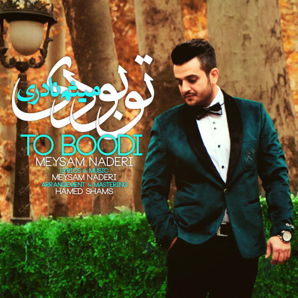 Meysam Naderi - 'To Boodi'