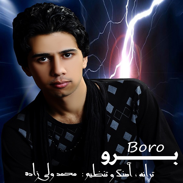 Mohammad Valizadeh - 'Boro'