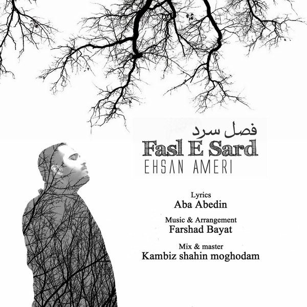 Ehsan Ameri - 'Fasle Sard'