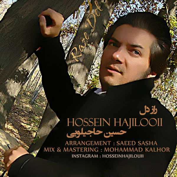 Hossein Hajilouii - 'Raze Del'