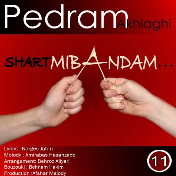 Pedram Akhlaghi - 'Shart Mibandam'