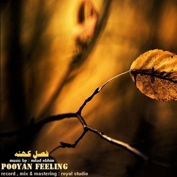 Pooyan Feeling - 'Fasle Kohne'