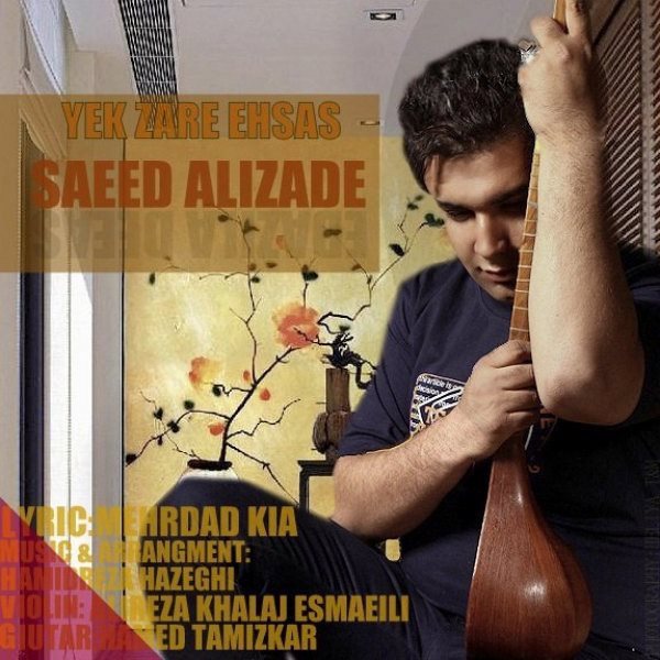 Saeed Alizade - Yek Zare Ehsas